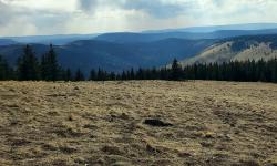 Featured image of post Chicoma Mountain