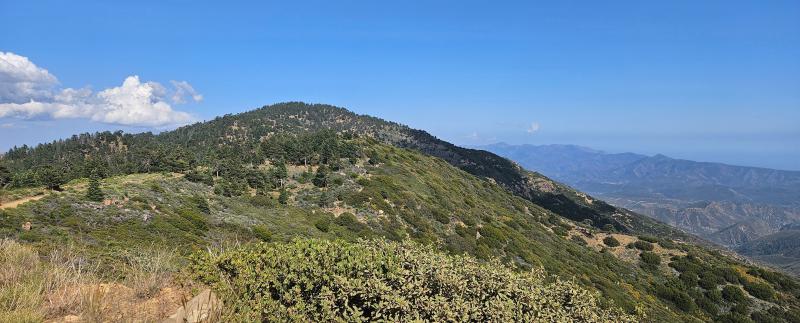 Featured image of post Reyes Peak